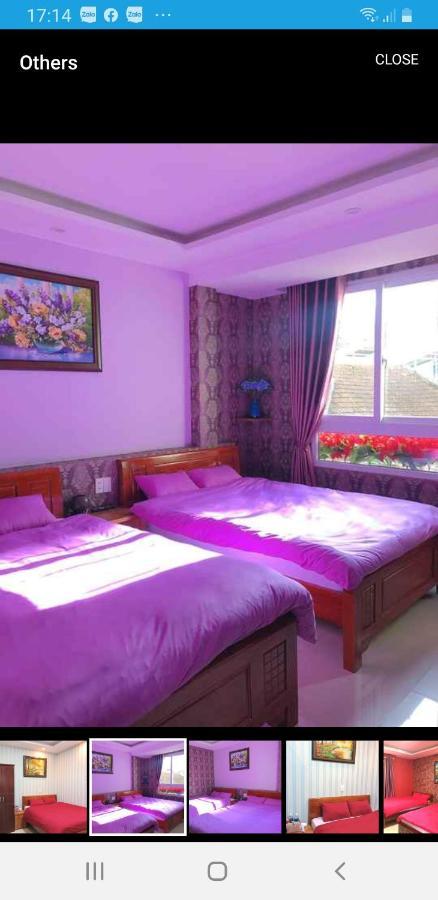 My Dream Hostel Đà Lạt Ngoại thất bức ảnh